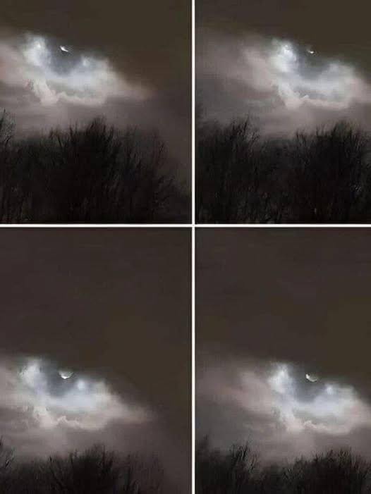 Mio fratello ha scattato questa foto a 21 km da casa… e ancora oggi non riusciamo a spiegarla