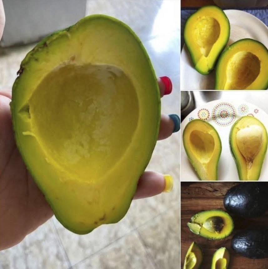 I medici rivelano: ecco cosa provoca il consumo di avocado...