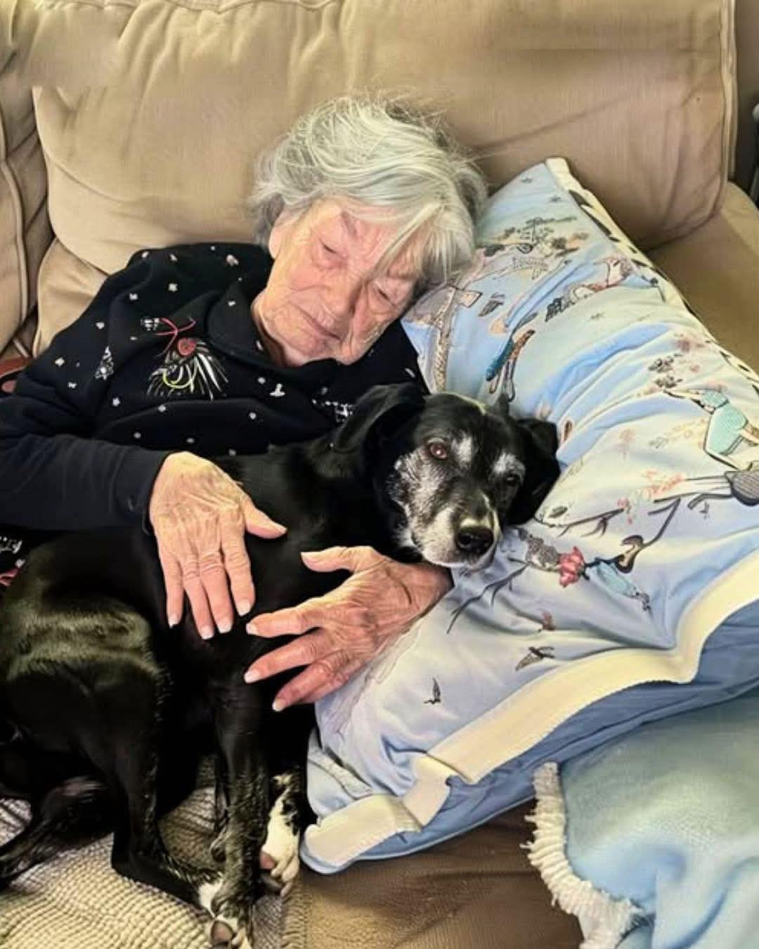 Sono stata l'unica a prendermi cura del cane di mia nonna mentre la famiglia litigava per l'eredità — e quel gesto mi ha rivelato il suo segreto inaspettato