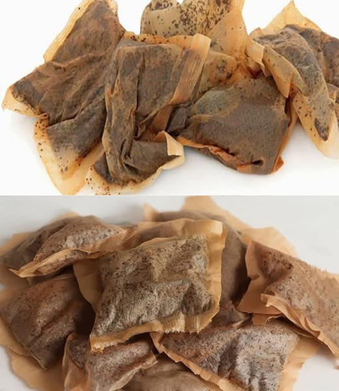 7 modi sorprendenti per riutilizzare le bustine di tè: non ci avresti mai pensato!