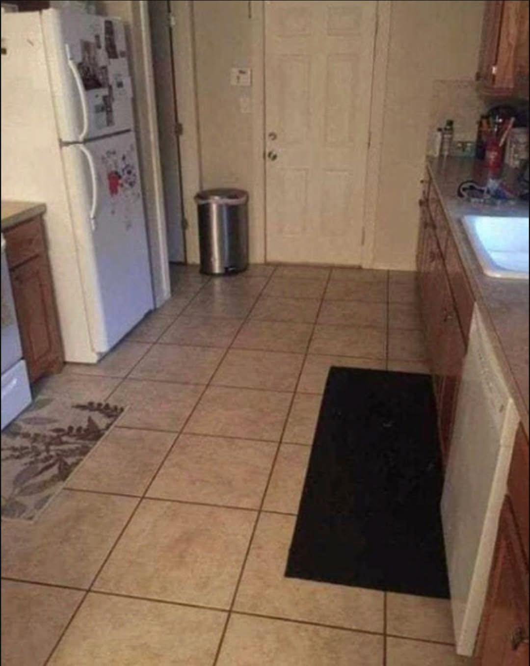 Questo cane è nascosto in piena vista in cucina e quasi nessuno riesce a vederlo