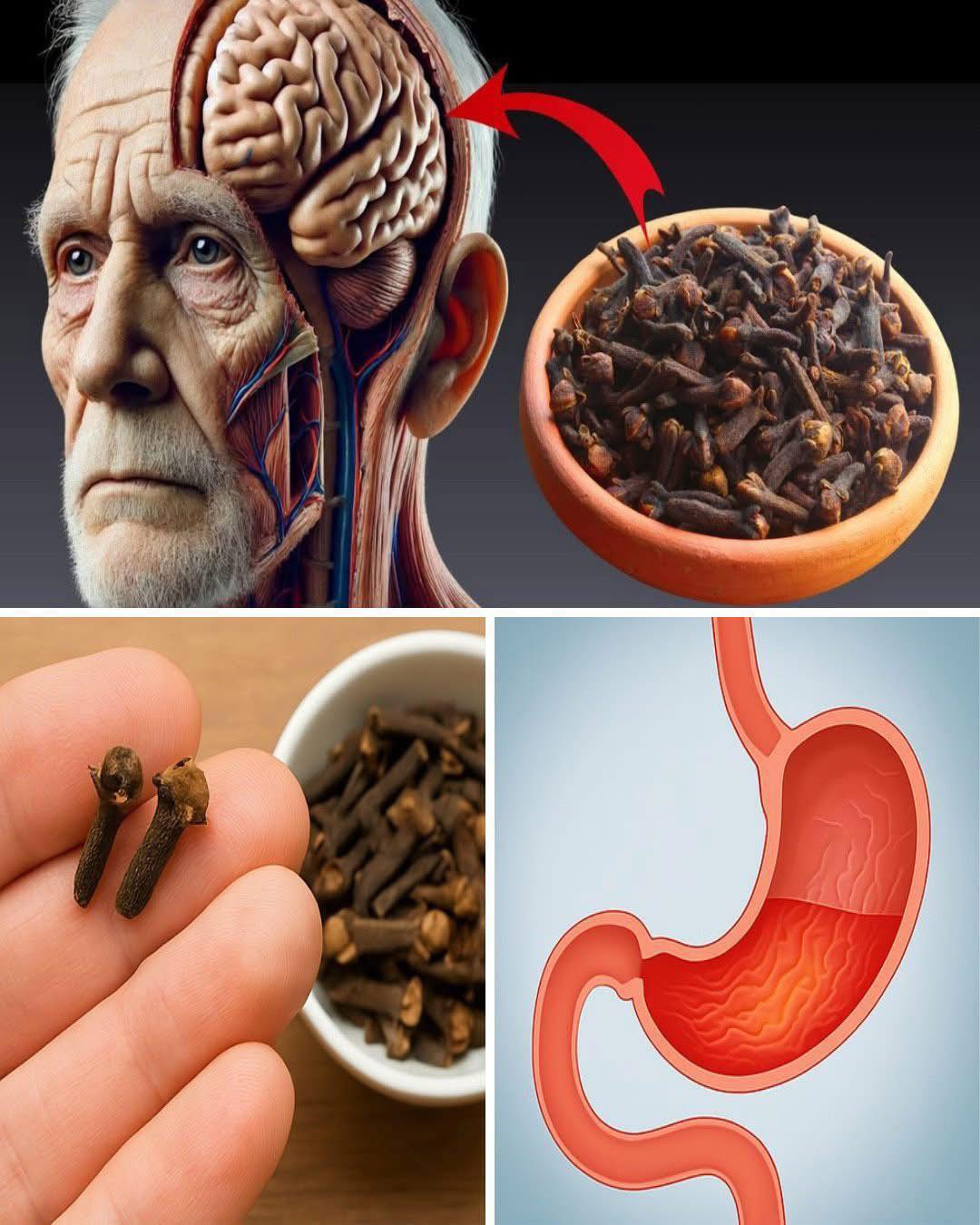Masticare 2 chiodi di garofano al giorno dopo i 50 anni: benefici sorprendenti per la tua quotidianità