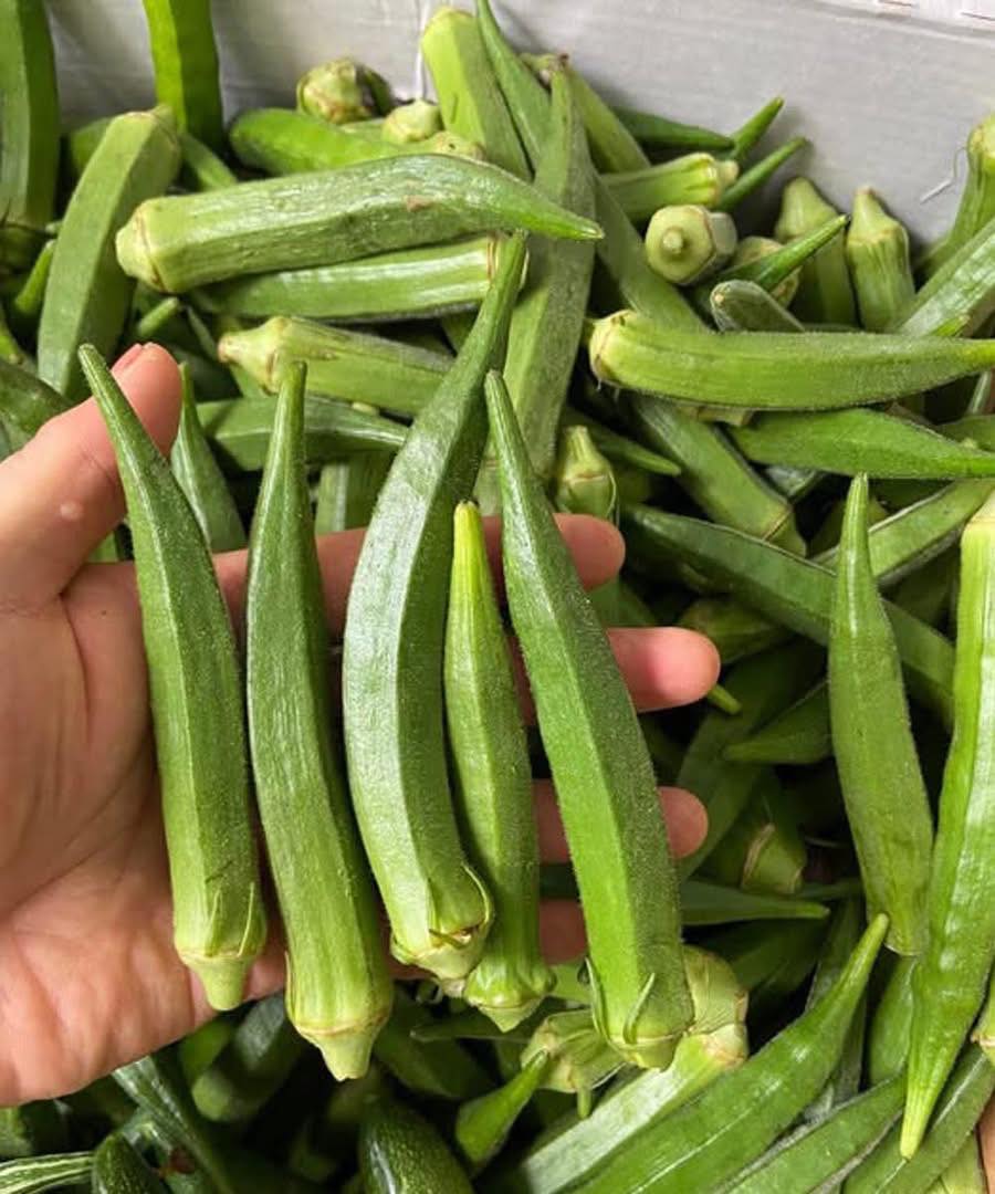 La verità sull'okra: cosa rivelano davvero le ricerche