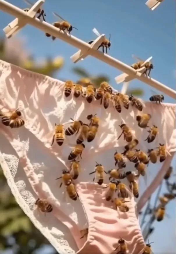Se noti questo sulla tua biancheria intima, ecco cosa significa.