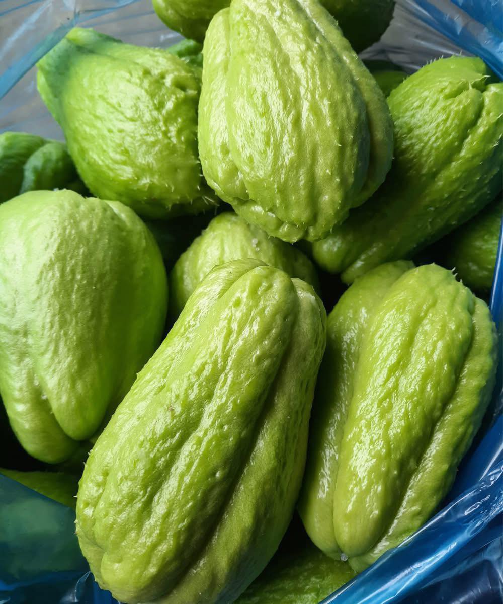 I medici rivelano: ecco gli effetti sorprendenti del chayote sulla salute
